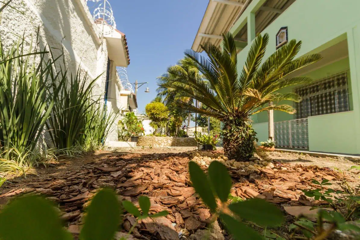 WhatsApp Image 2022-05-17 at 11.26.32 (1)