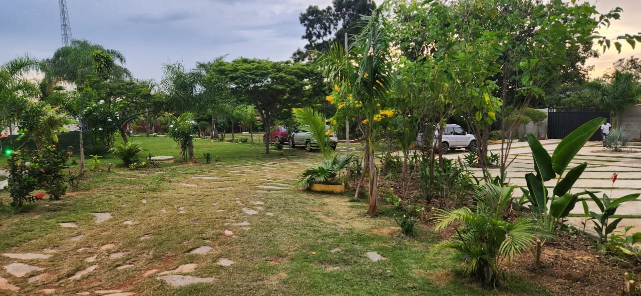 WhatsApp Image 2024-04-16 at 21.26.10 (4)